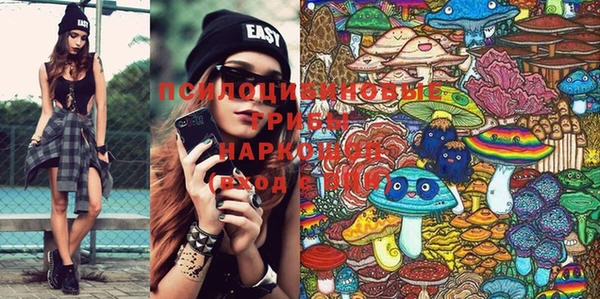 марки lsd Краснослободск