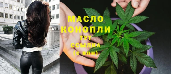 тгк Кукмор