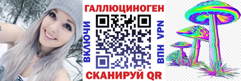 Купить  Орлов  Псилоцибиновые грибы Psilocybe 
